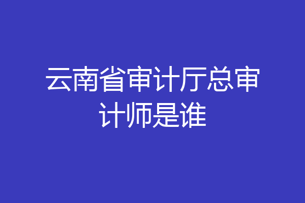 云南省审计厅总审计师是谁