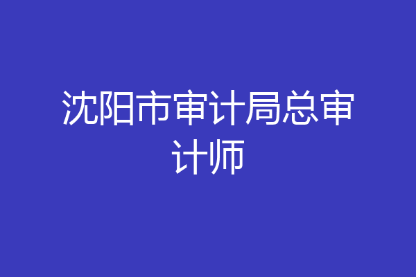 沈阳市审计局总审计师