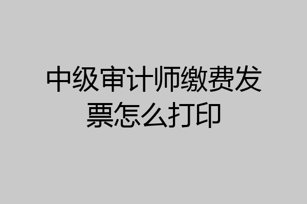 中级审计师缴费发票怎么打印