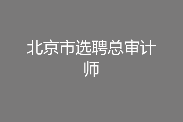 北京市选聘总审计师