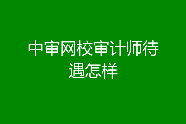 中审网校审计师待遇怎样