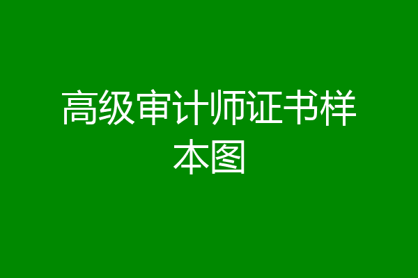 高级审计师证书样本图