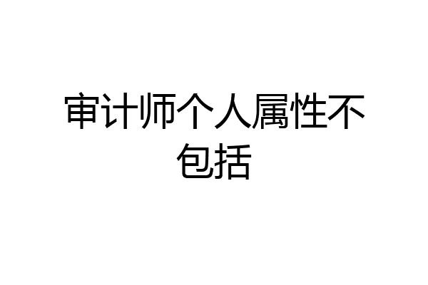 审计师个人属性不包括