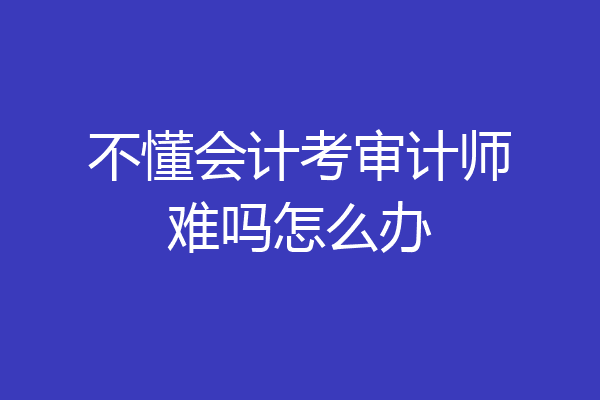 不懂会计考审计师难吗怎么办