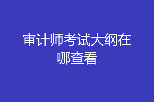 审计师考试大纲在哪查看