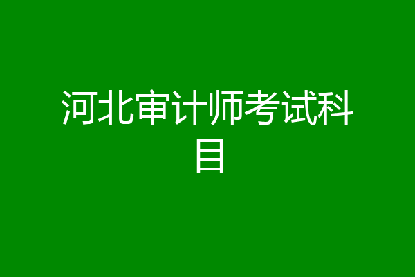 河北审计师考试科目