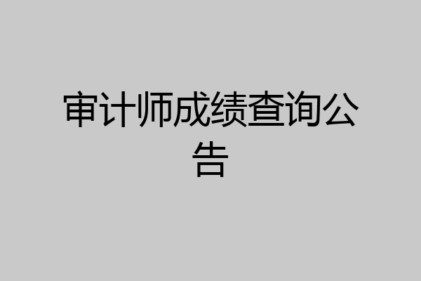 审计师成绩查询公告