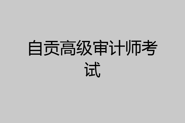 自贡高级审计师考试
