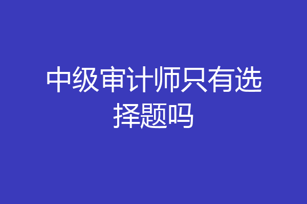 中级审计师只有选择题吗