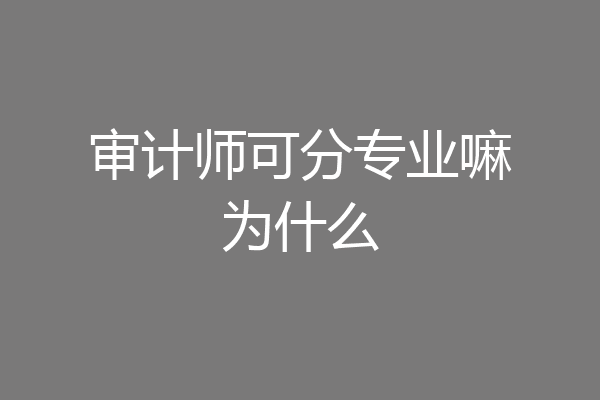 审计师可分专业嘛为什么