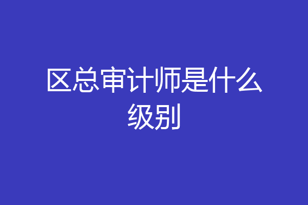 区总审计师是什么级别