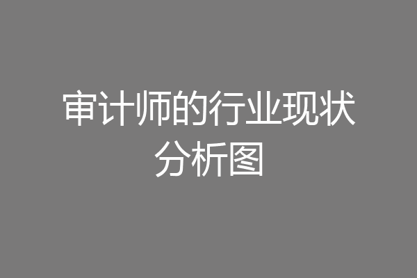 审计师的行业现状分析图