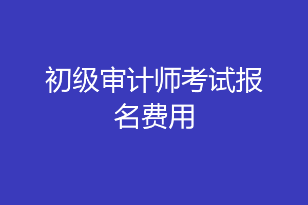 初级审计师考试报名费用
