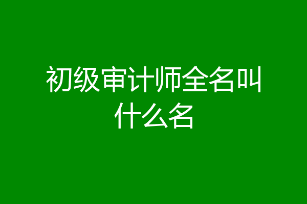初级审计师全名叫什么名