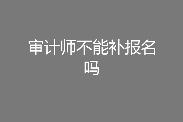 审计师不能补报名吗