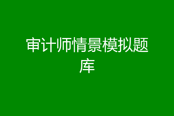 审计师情景模拟题库