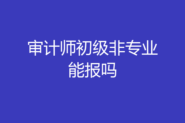 审计师初级非专业能报吗