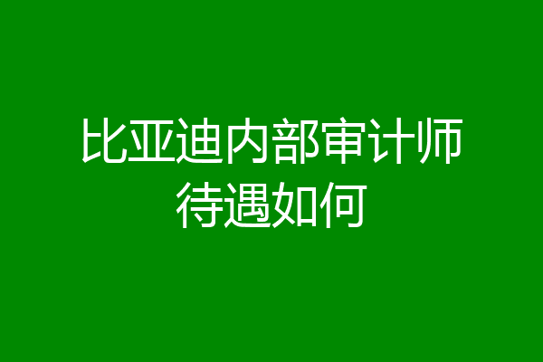 比亚迪内部审计师待遇如何