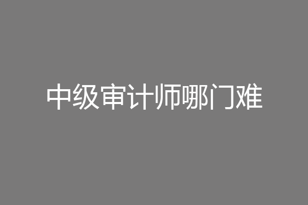 中级审计师哪门难