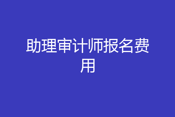 助理审计师报名费用