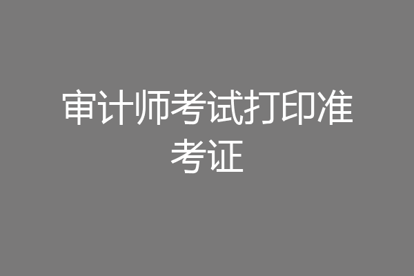 审计师考试打印准考证