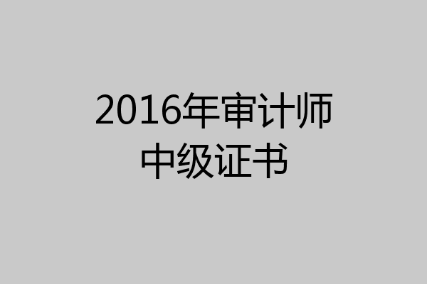 2016年审计师中级证书