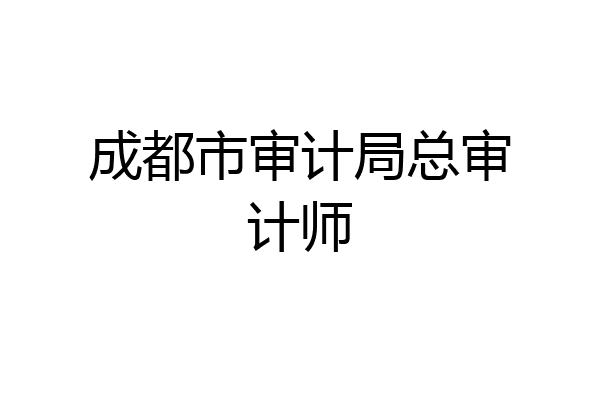 成都市审计局总审计师