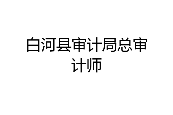 白河县审计局总审计师