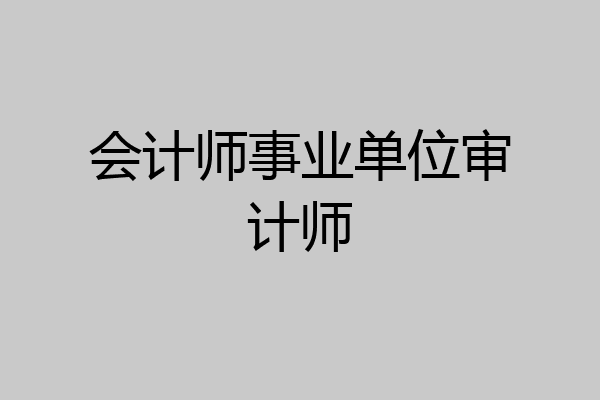 会计师事业单位审计师