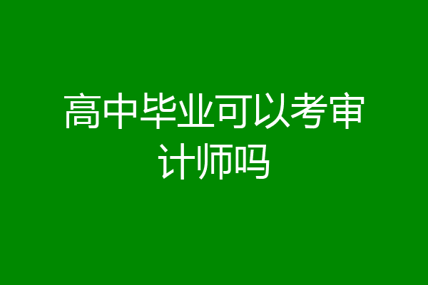 高中毕业可以考审计师吗
