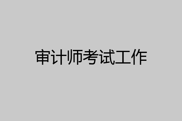 审计师考试工作