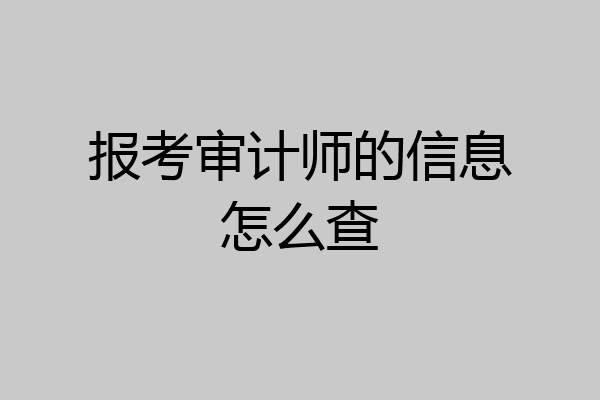 报考审计师的信息怎么查