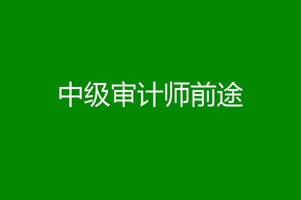 中级审计师前途