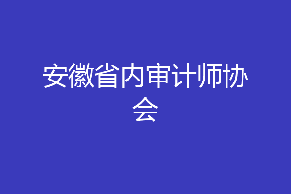 安徽省内审计师协会