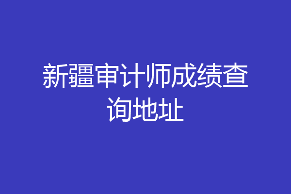 新疆审计师成绩查询地址