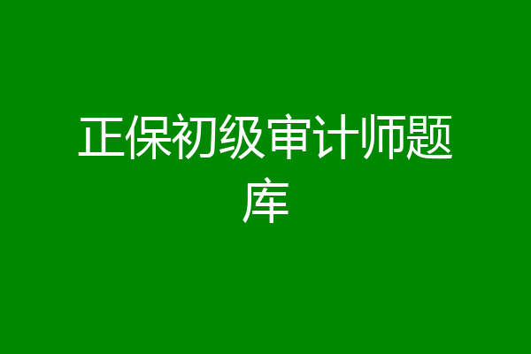 正保初级审计师题库