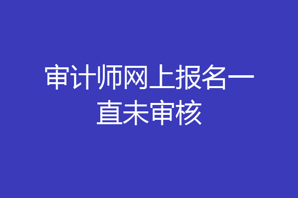 审计师网上报名一直未审核