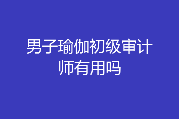 男子瑜伽初级审计师有用吗
