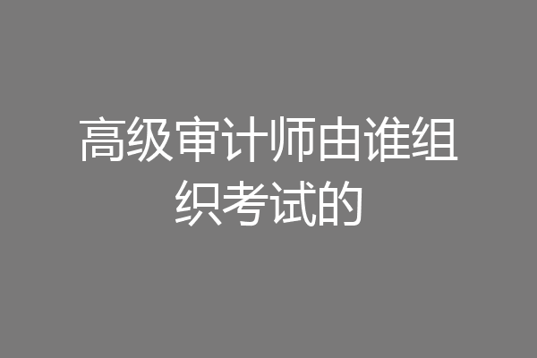 高级审计师由谁组织考试的