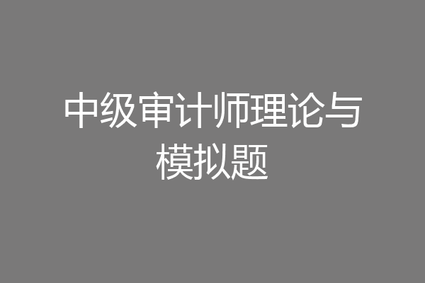中级审计师理论与模拟题