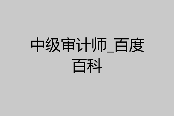 中级审计师_百度百科