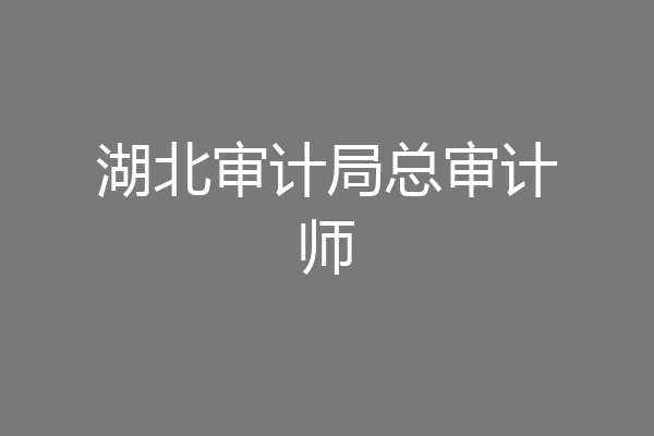 湖北审计局总审计师