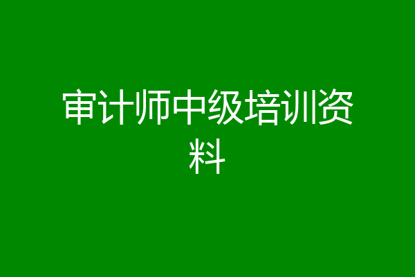 审计师中级培训资料