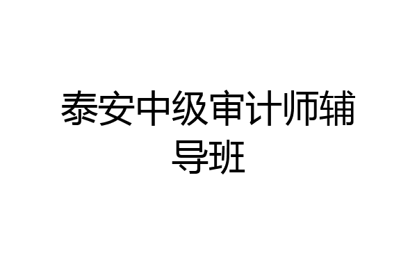 泰安中级审计师辅导班