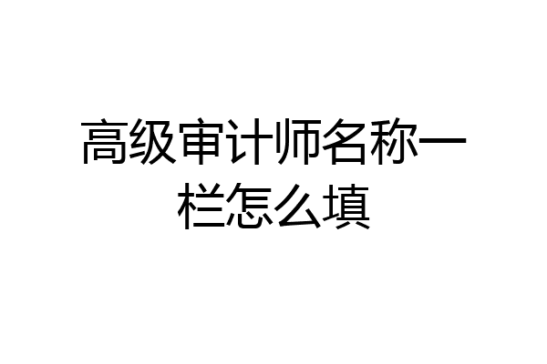 高级审计师名称一栏怎么填