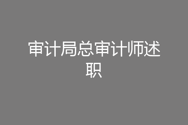 审计局总审计师述职