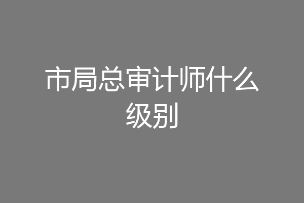 市局总审计师什么级别