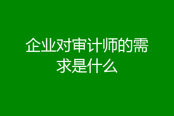 企业对审计师的需求是什么