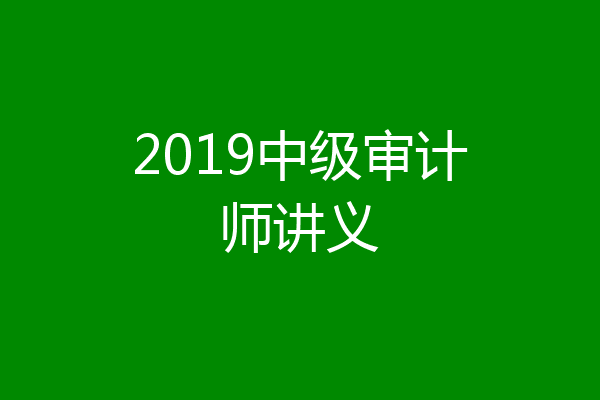 2019中级审计师讲义