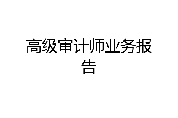 高级审计师业务报告